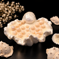 Load image into Gallery viewer, Ocean Pearl Shell Candle