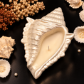 Load image into Gallery viewer, Pearl Conch Shell Candle
