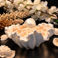 Load image into Gallery viewer, Ocean Pearl Shell Candle
