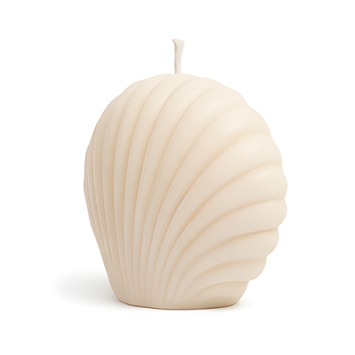 Shell Candle