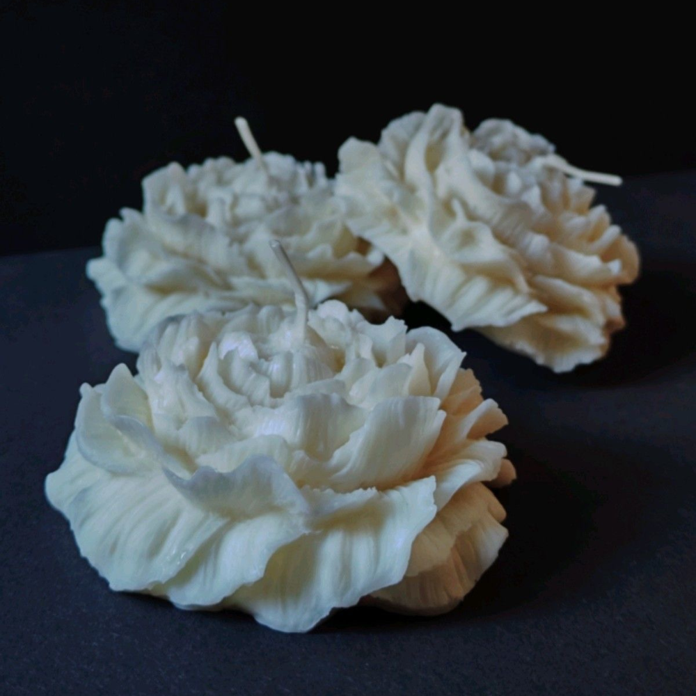 Peony Small